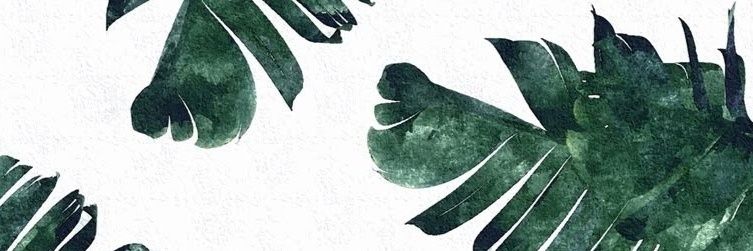 erike_shafa's profile banner image
