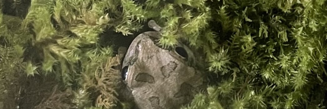 teruruseren86's profile banner image