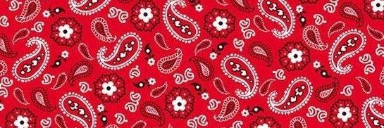 पुणेकर banner