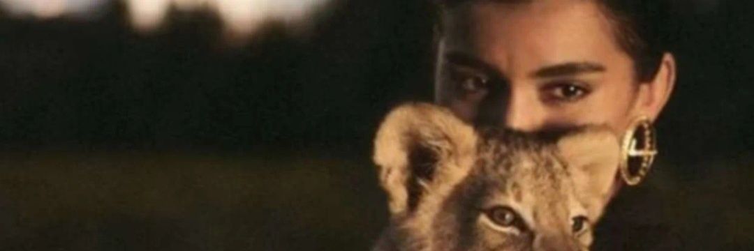 aly_yah's profile banner image