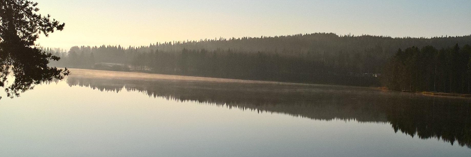 phaapanen's profile banner image