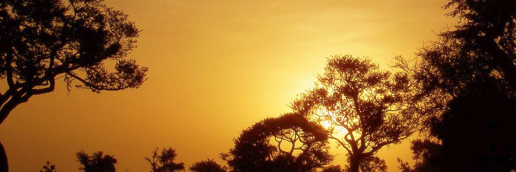 networkAFB's profile banner image