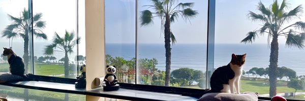 My_Lolita__ Profile Banner