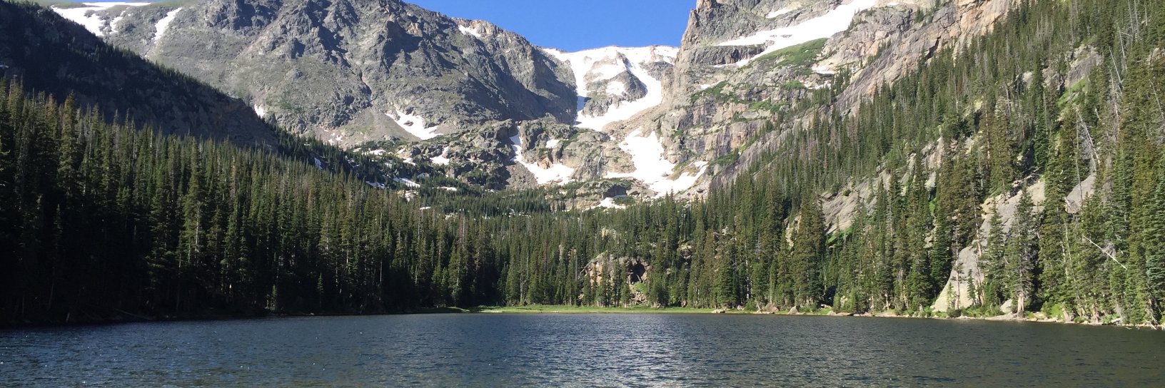 Scott Cunningham banner