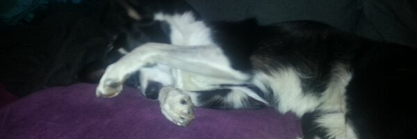 aljo_clark Profile Banner