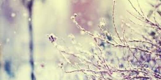 Noeliaromob's profile banner image