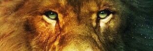 matinarli's profile banner image