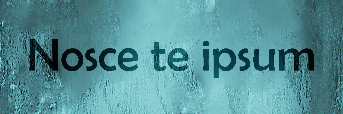 armador10's profile banner image