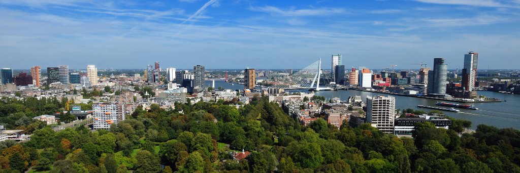 mlirotterdam's profile banner image
