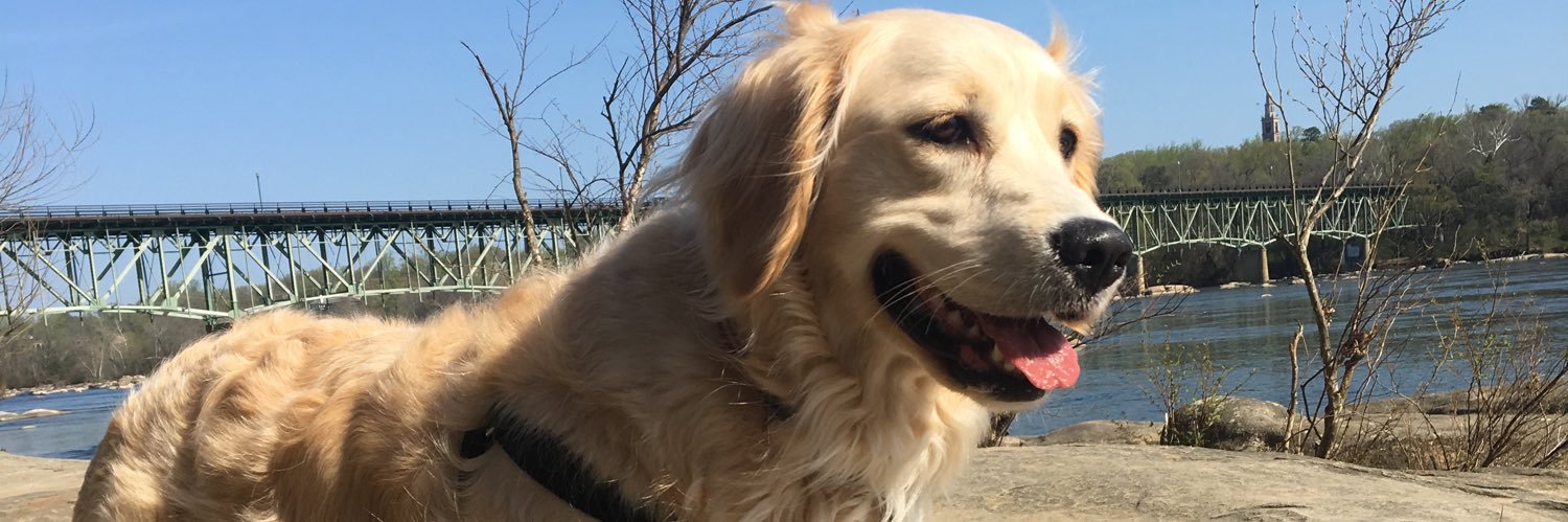 calebhjones's profile banner image