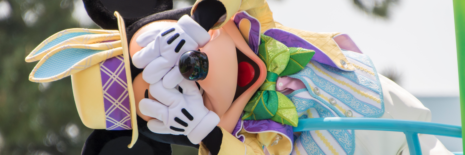 tomatoer's profile banner image