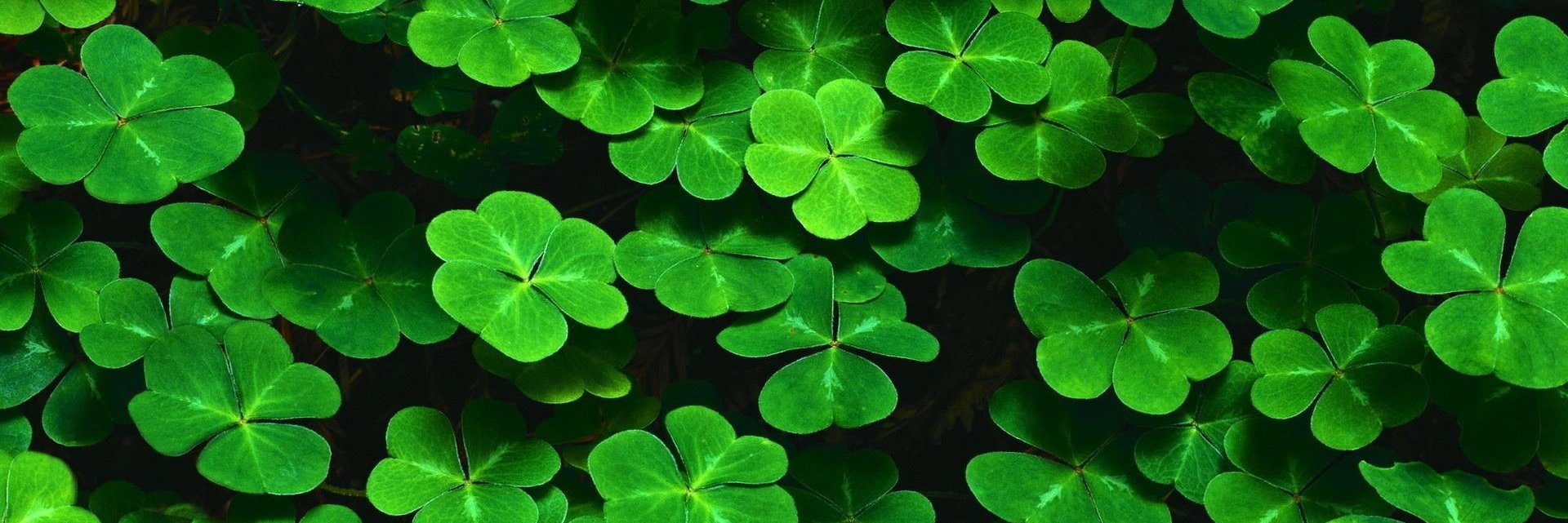 I3LACKIRISH's profile banner image
