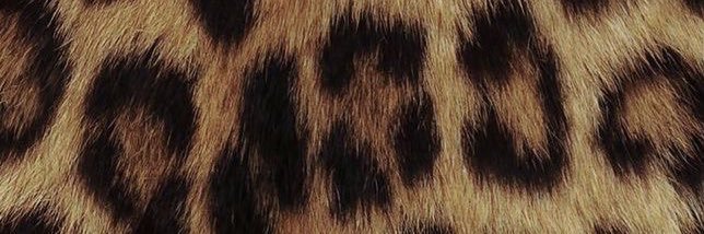 oivivs's profile banner image