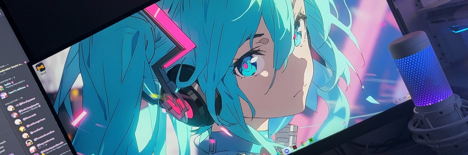 SoxFlower's profile banner image
