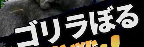 boru_coj's profile banner image