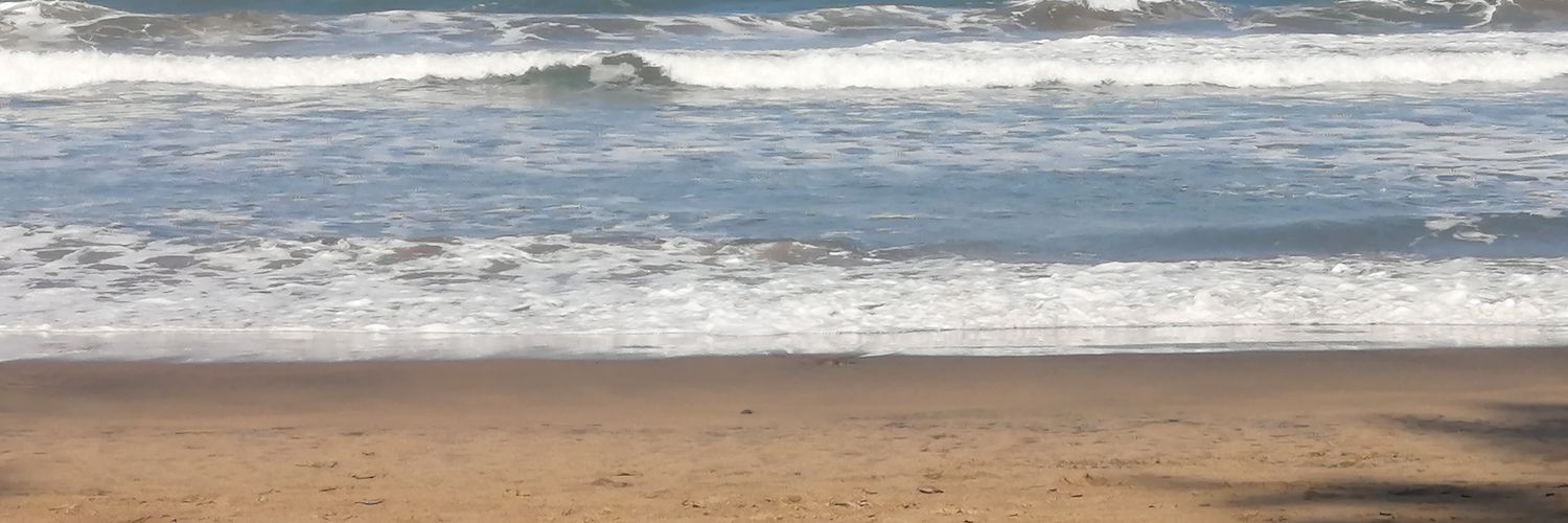 Delakotze's profile banner image
