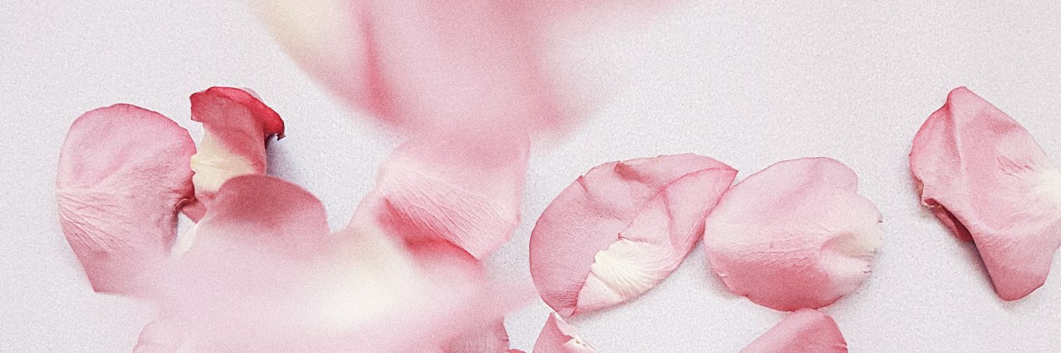 JanaW_'s profile banner image