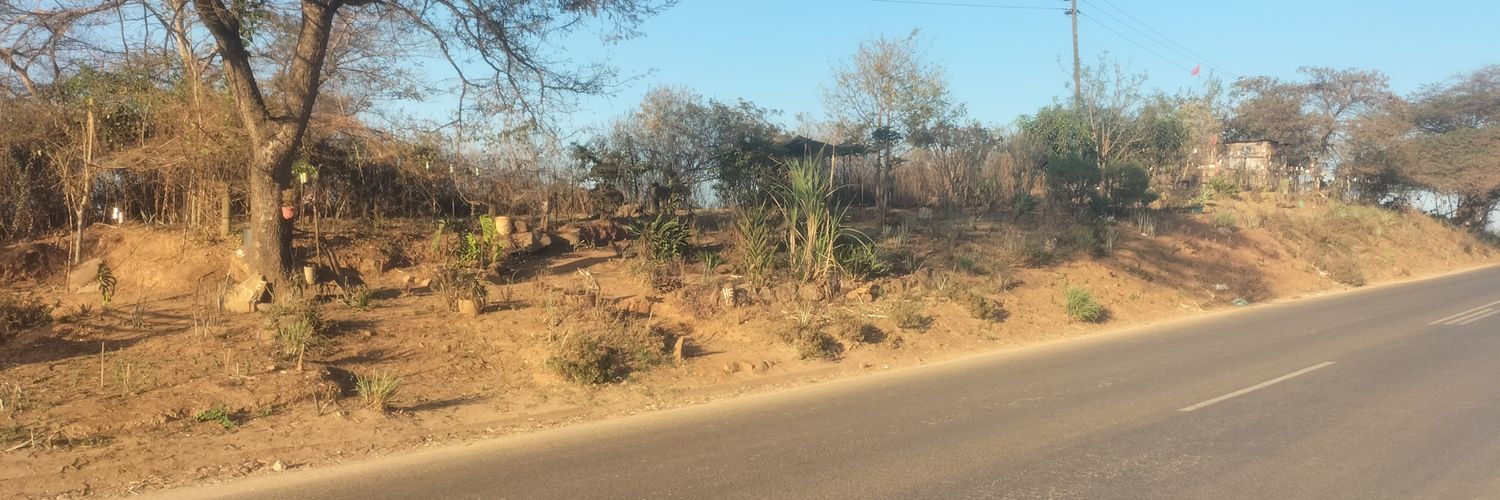 King Of Kings 🦁 banner