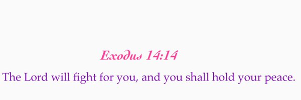 Imaculate2 Profile Banner