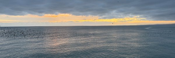 BiggestMelCFan Profile Banner