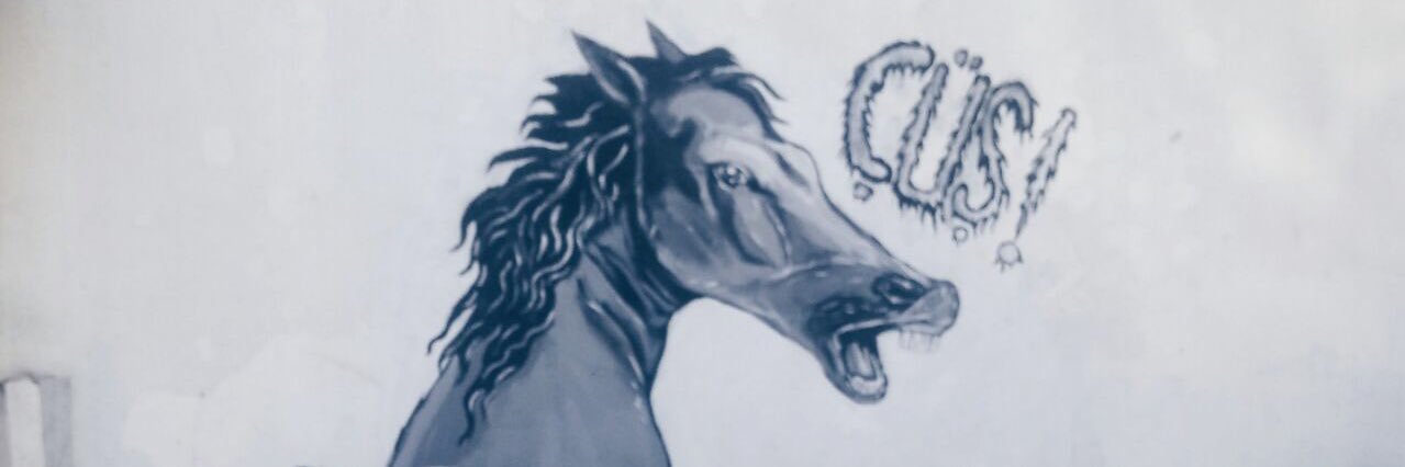behzaterenonel's profile banner image