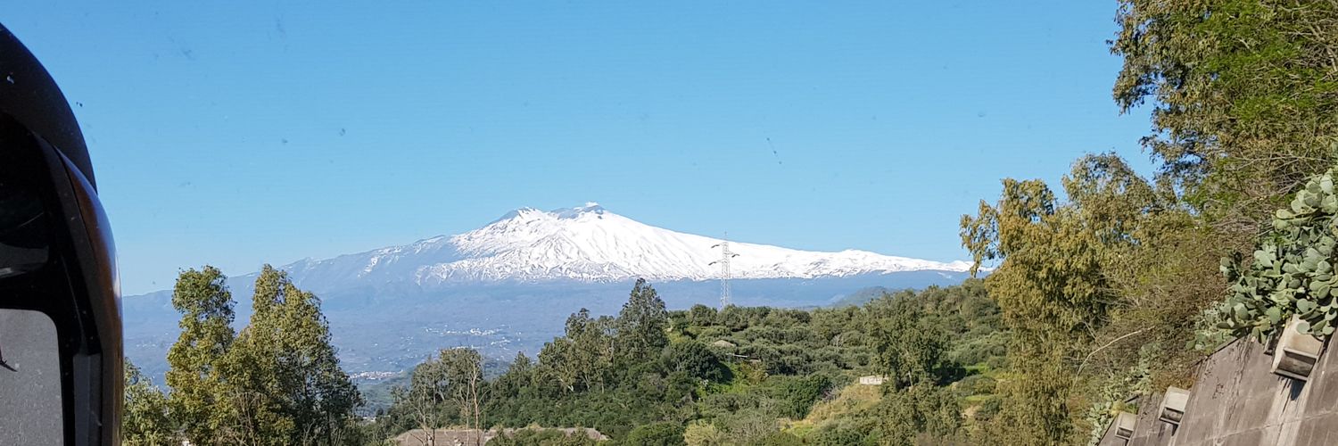 Dr. Poppy Harding banner