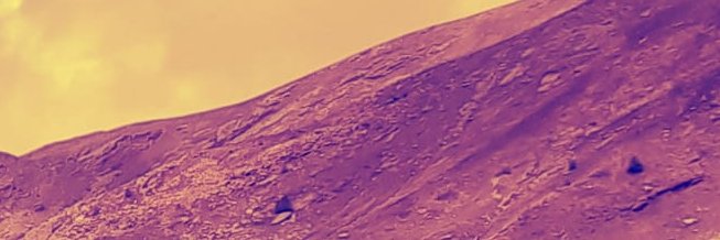 silvia gribaudi banner