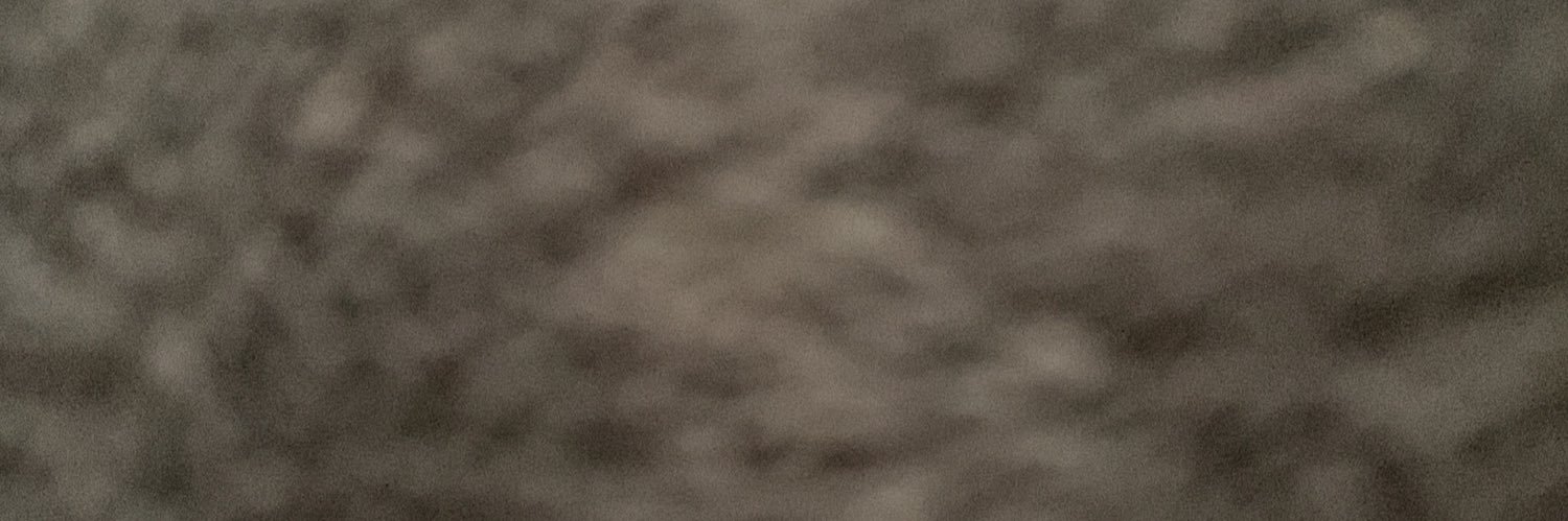 flaviamym's profile banner image