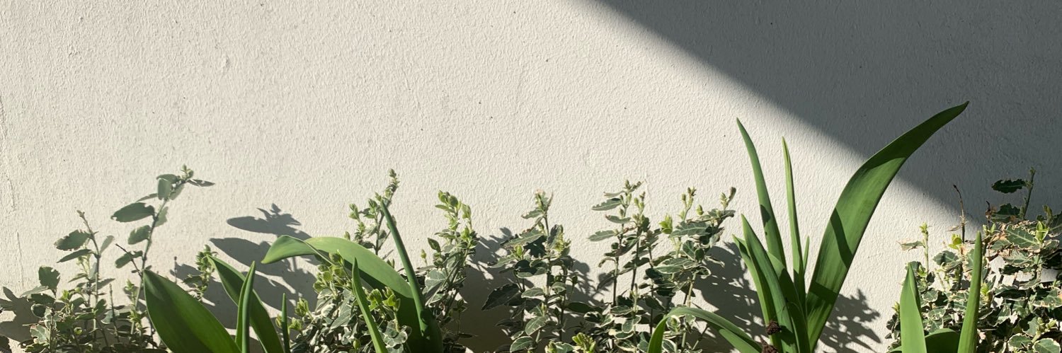 schlurkas's profile banner image