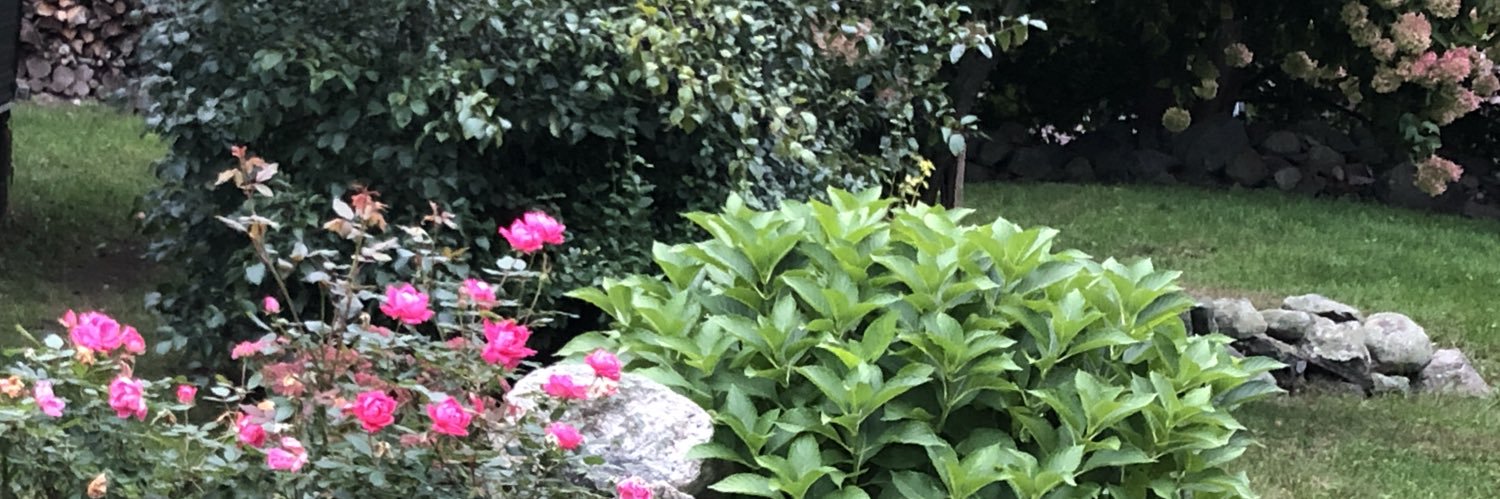 Maryellenle's profile banner image
