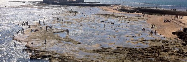 FIGUI_8 Profile Banner