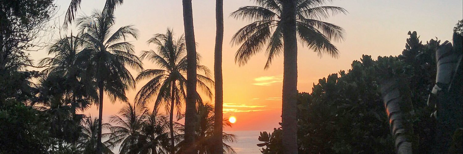 agathe nicolle banner