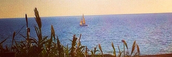 anelitadc's profile banner image