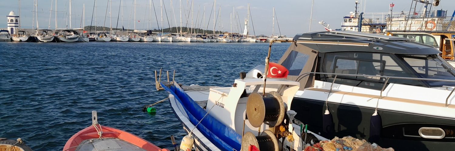 vseymenoglu's profile banner image