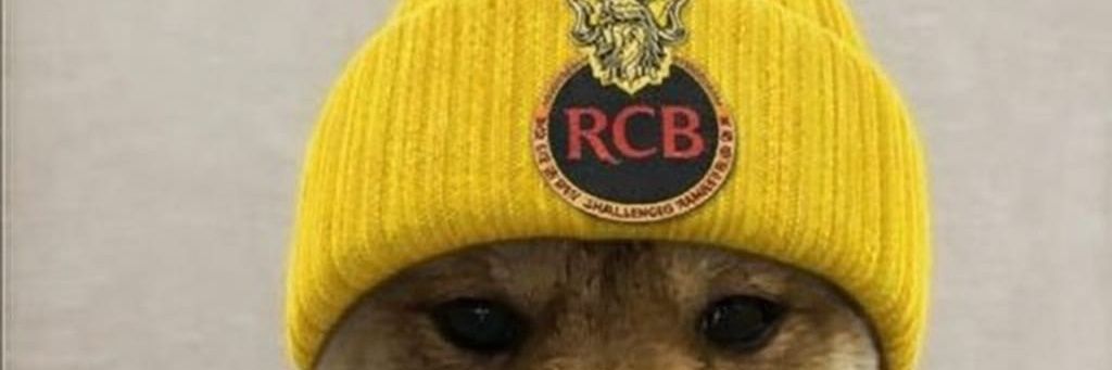 Ingenious Warrior banner