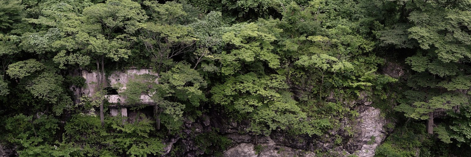 hola_ume's profile banner image