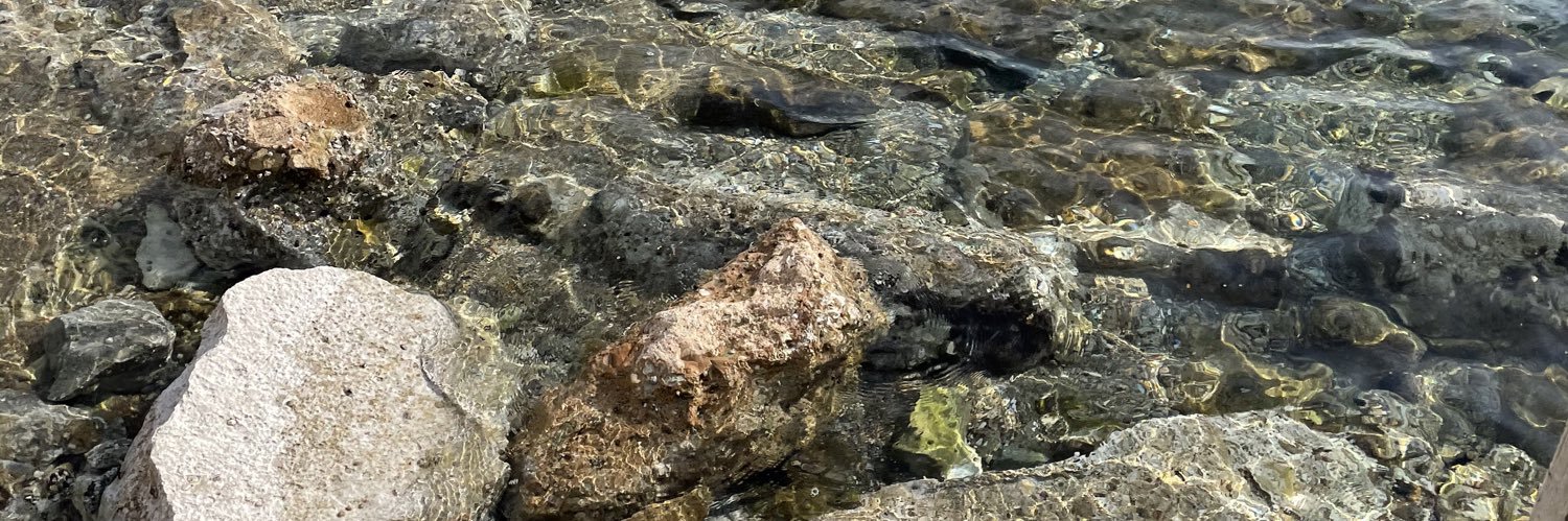 Cecilia Wikström, Beijerstiftelsen banner