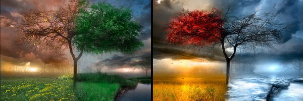 dani_welsh91 Profile Banner