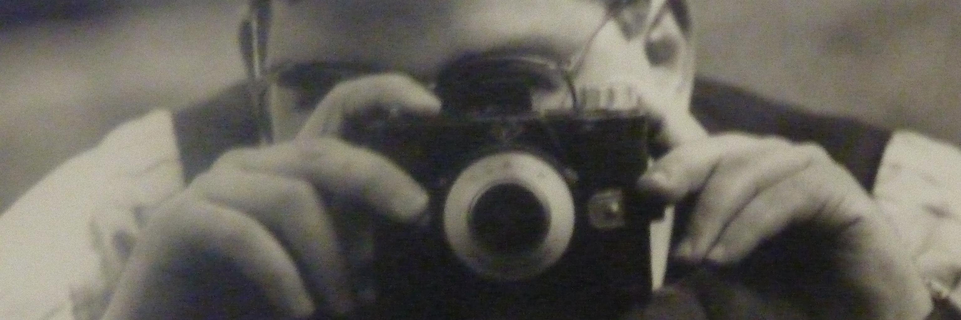 Pierre Vles banner