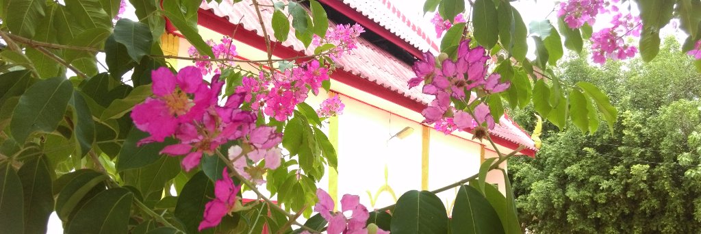 l_or banner