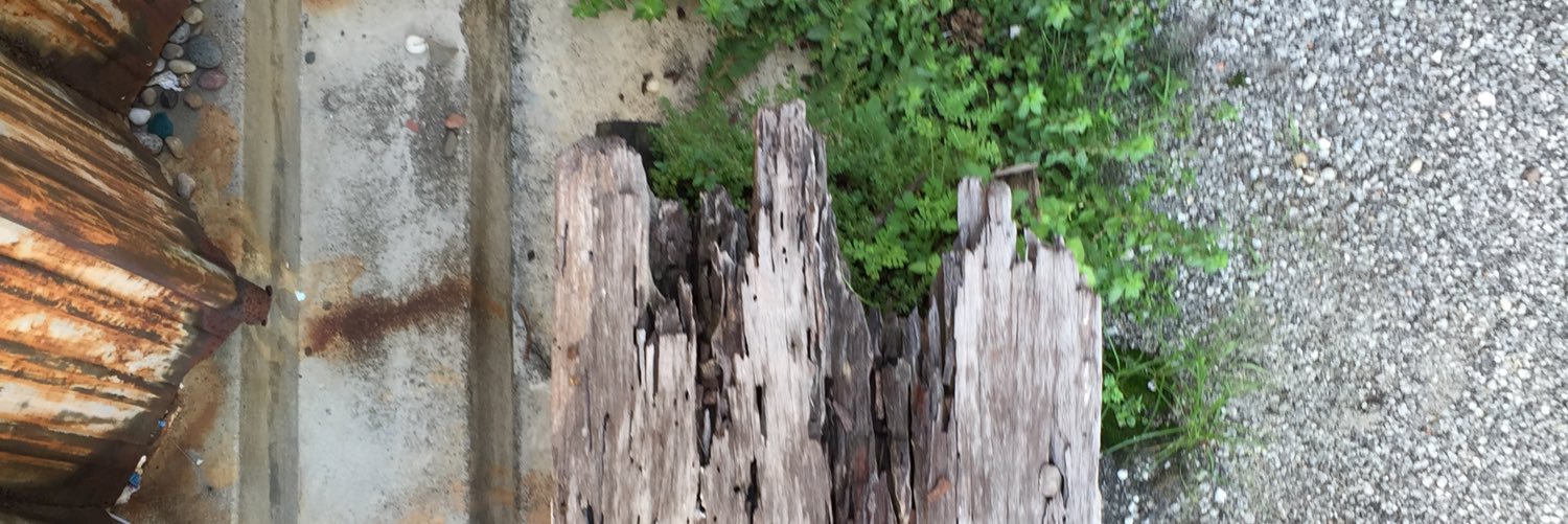 soonkee97's profile banner image