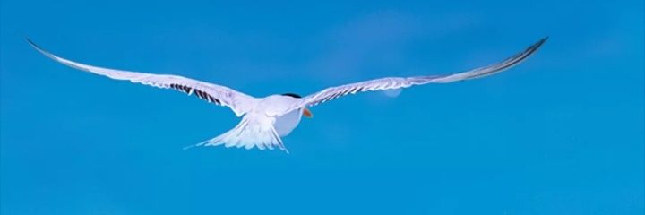 SunnyWisePA's profile banner image
