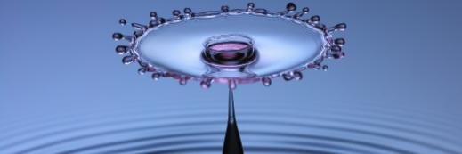 CATS Aquatic Team banner