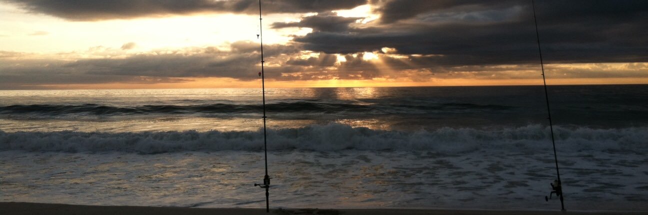 RayA ✌️🐈‍⬛ banner