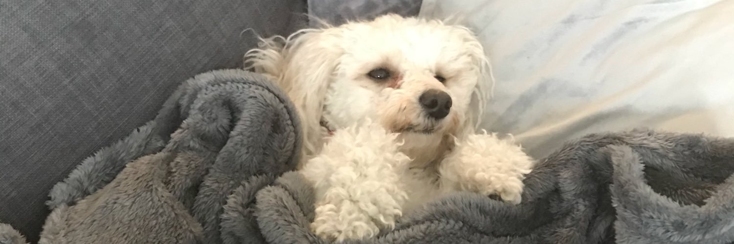 DugChugs's profile banner image