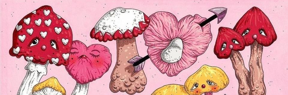 TaylorOtero's profile banner image