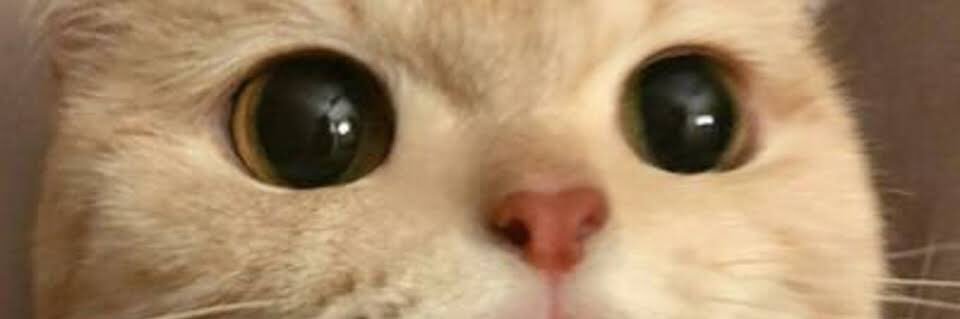 Rounaaaaa's profile banner image