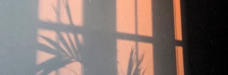 intantees's profile banner image