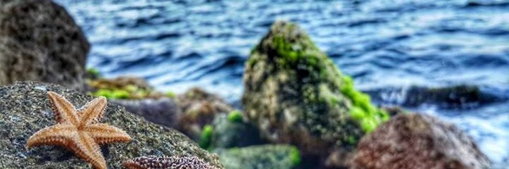 onurs88's profile banner image
