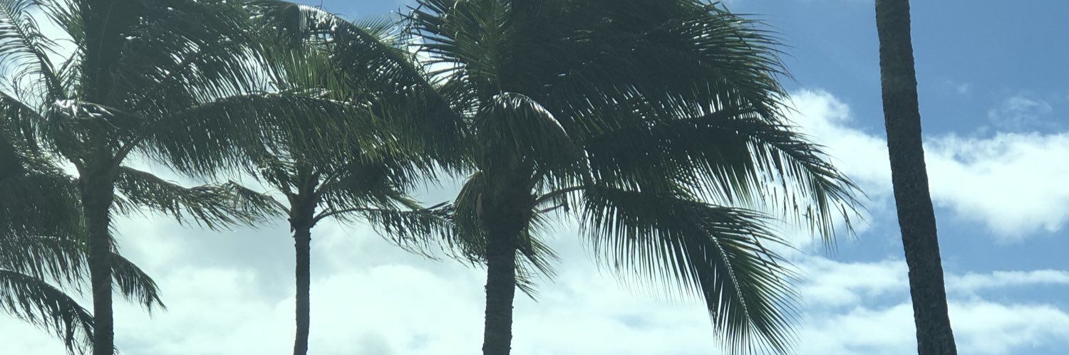 kiaharasmussen's profile banner image
